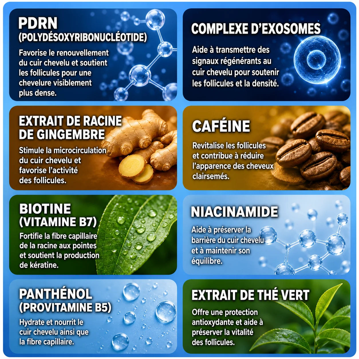 Sérum capillaire densifiant avec brosse applicatrice