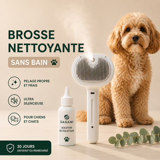 Brosse nettoyante sans bain